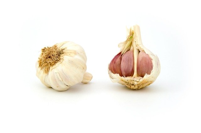 garlic inhibits platelet aggregation